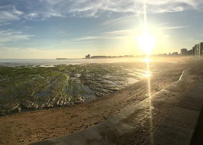 Le Scandinave 3 Etoiles T2 Lumineux Hypercentre La A 2 Pas ! Les Sables-dʼOlonne