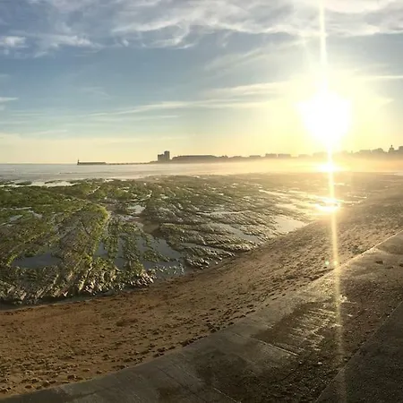 Le Scandinave 3 Etoiles T2 Lumineux Hypercentre La A 2 Pas ! Les Sables-dʼOlonne