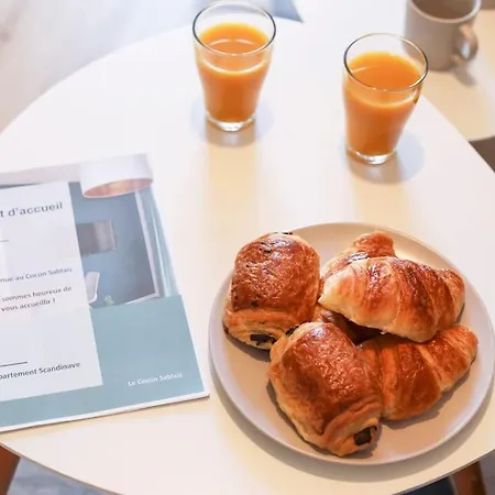 Le Scandinave 3 Etoiles T2 Lumineux Hypercentre La A 2 Pas ! * 莱萨布勒-多洛讷